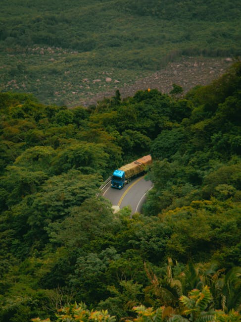 An aerial view of a blue moving truck with a beige cargo container navigating a narrow, winding road through dense green forested hills. The road has a double yellow centreline and curves sharply, indicating a rural environment suitable for house removals or home relocation logistics. The truck appears to be in motion, possibly part of a furniture transport or packing and moving service. Surrounding the road are lush trees and foliage, with no other vehicles or structures visible, emphasizing the remote setting. This scene reflects the logistics involved in local or long-distance removals, highlighting vehicle manoeuvring through natural terrain, as might be handled by companies such as Man With a Van Aldersbrook.